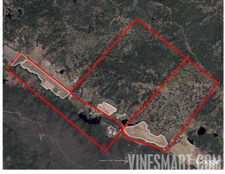 Napa Valley Winery and Vineyard For Sale - Parcel Map