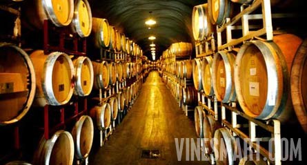 Napa Valley Winery and Vineyard For Sale - Caves