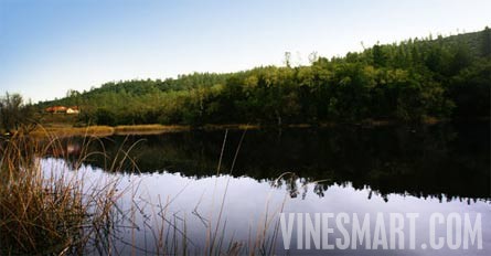 Napa Valley Winery and Vineyard For Sale - Pond/Lake
