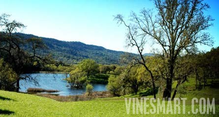 Napa Valley Winery and Vineyard For Sale - Pond/Lake