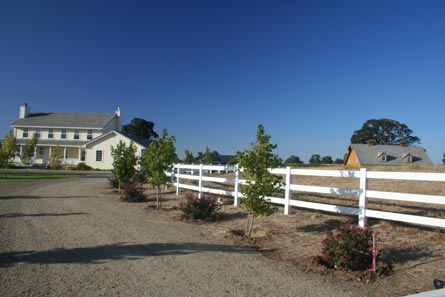 Equestrian Property with Home and Vineyard Views For Sale - Wine Real Estate