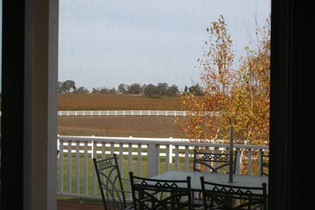 Equestrian Property with Home and Vineyard Views For Sale - Wine Real Estate