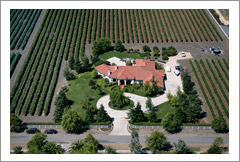 VineSmart -  San Luis Obispo, California - Edna Valley Pinot Noir Vineyard Estate For Sale - Wine Real Estate