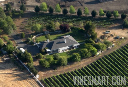 VineSmart -  San Luis Obispo, California - Edna Valley Vineyard Estate For Sale - Wine Real Estate