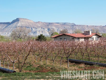 Palisade Property For Sale Palisade Property For Sale