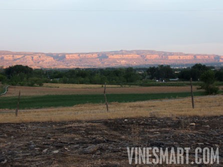 VineSmart - Palisade, Colorado - Vineyard, Orchard and Home For Sale - Development Potential - Wine Real Estate