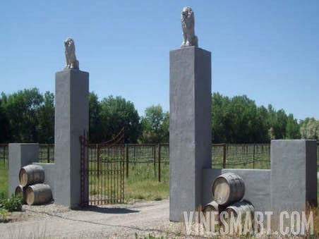Colorado Winery For Sale - Grey Stone Winery - Wine Real Estate