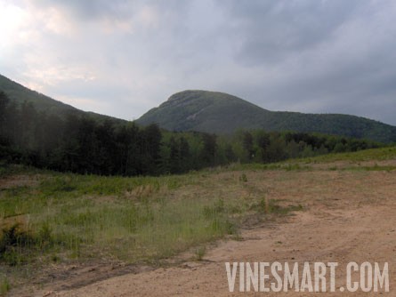 Cleveland, GA - Potenial Vineyard Property