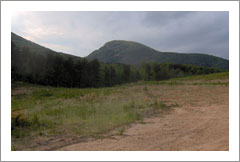 Potential Vineyard Property - Cleveland, GA