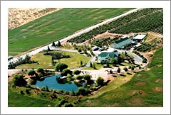 Idaho Vineyard For Sale - 10.8 Acres and Custom Home - Star, ID - Wine Real Estate