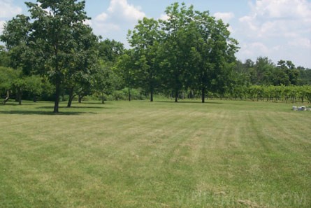 VineSmart - Illinois Vineyard and Land For Sale - Creal Springs, Illinois - Wine Real Estate