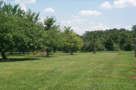 VineSmart - Illinois Vineyard and Land For Sale - Creal Springs, Illinois - Wine Real Estate