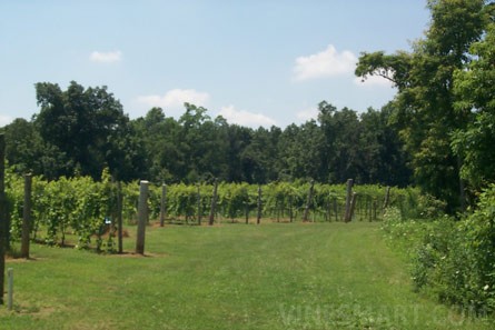 VineSmart - Illinois Vineyard and Land For Sale - Creal Springs, Illinois - Wine Real Estate