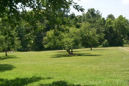 VineSmart - Illinois Vineyard and Land For Sale - Creal Springs, Illinois - Wine Real Estate