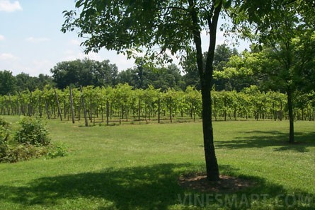 VineSmart - Illinois Vineyard and Land For Sale - Creal Springs, Illinois - Wine Real Estate