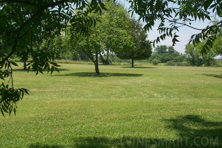 VineSmart - Illinois Vineyard and Land For Sale - Creal Springs, Illinois - Wine Real Estate
