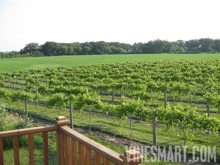 Illinois Home with Vineyard and Wine Business For Sale - Wine Real Estate