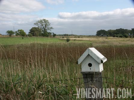 Illinois Home with Vineyard and Wine Business For Sale - Wine Real Estate
