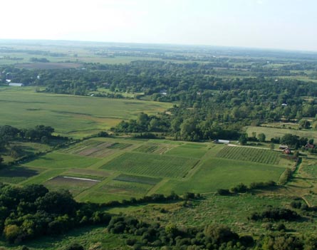 Illinois Home with Vineyard and Wine Business For Sale - Wine Real Estate