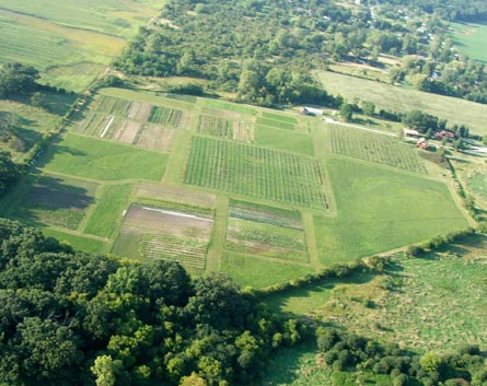 Illinois Home with Vineyard and Wine Business For Sale - Wine Real Estate