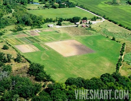 Illinois Home with Vineyard and Wine Business For Sale - Wine Real Estate