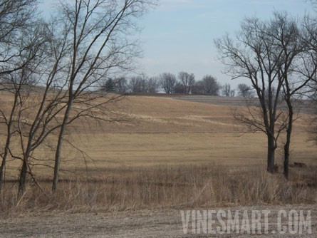 Lexington, Missouri - 26-room Mansion and Vineyard Property For Sale - Wine Real Estate