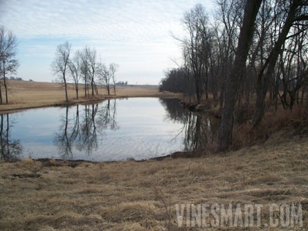 Lexington, Missouri - 26-room Mansion and Vineyard Property For Sale - Wine Real Estate