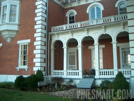 Lexington, Missouri - 26-room Mansion and Vineyard Property For Sale - Wine Real Estate