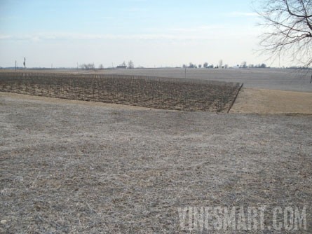 Lexington, Missouri - 26-room Mansion and Vineyard Property For Sale - Wine Real Estate