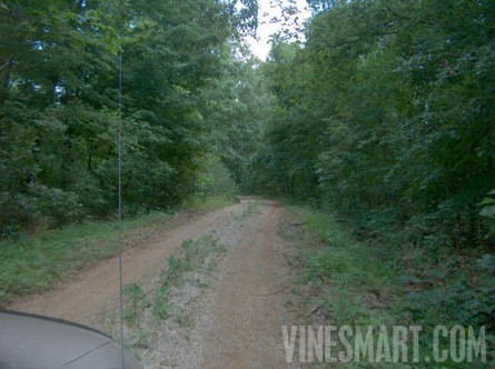Cape Girardeau Co., Missouri - 381 Acre Farm Land For Sale -Vineyard/Winery Potential - Wine Real Estate