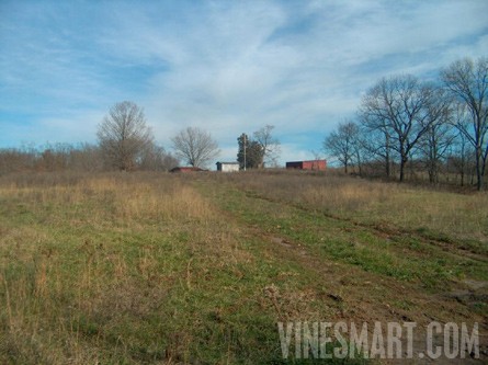Cape Girardeau Co., Missouri - 381 Acre Farm Land For Sale -Vineyard/Winery Potential - Wine Real Estate