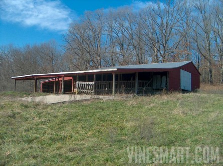 Cape Girardeau Co., Missouri - 381 Acre Farm Land For Sale -Vineyard/Winery Potential - Wine Real Estate