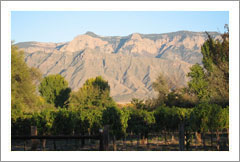 Corrales, New Mexico - Home and Vineyard Property For Sale - Wine Real Estate