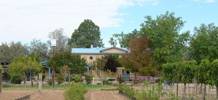 Corrales, NM - Vineyard and Home - House