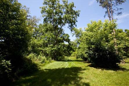 New York Wine Country Home with Winery Potential - Cayuga Lake, New York - Wine Real Estate