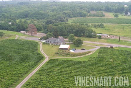 Seneca Lake - Vineyard & Tasting Room For Sale - Vineyard and Barn/Tasting Room