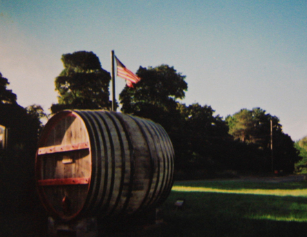 Finger Lakes Vineyard Land For Sale - Winery Potential - Lodi, NY - Wine Real Estate