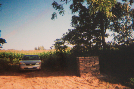 Finger Lakes Vineyard Land For Sale - Winery Potential - Lodi, NY - Wine Real Estate