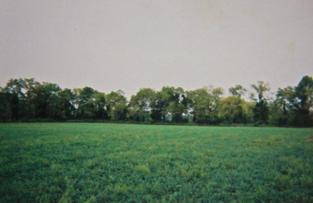 Finger Lakes Vineyard Land For Sale - Winery Potential - Lodi, NY - Wine Real Estate