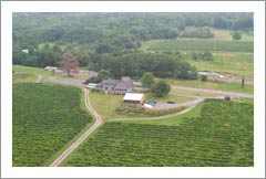 Seneca Lake, New York  - Vineyard and Tasting Room For Sale - Wine Real Estate 