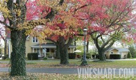 5 ACRE GENTLEMAN'S ESTATE LE CHEVAL - Historic Home and Small Vineyard For Sale - Wine Real Estate