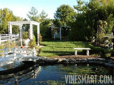 5 ACRE GENTLEMAN'S ESTATE LE CHEVAL - Historic Home and Small Vineyard For Sale - Wine Real Estate