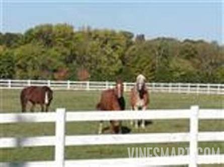5 ACRE GENTLEMAN'S ESTATE LE CHEVAL - Historic Home and Small Vineyard For Sale - Wine Real Estate