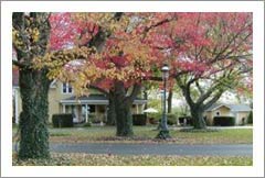 5 ACRE GENTLEMAN'S ESTATE LE CHEVAL - Historic Home and Small Vineyard For Sale - Wine Real Estate
