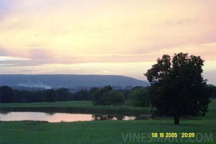 Stone Bluff Cellars Winery & Vineyard Property For Sale - Stone Bluff, Oklahoma