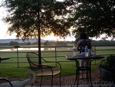 Stone Bluff Cellars Winery & Vineyard Property For Sale - Stone Bluff, Oklahoma