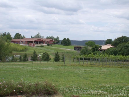 Stone Bluff Cellars Winery & Vineyard Property For Sale - Stone Bluff, Oklahoma