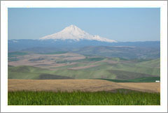 VineSmart -  The Dalles, Oregon - 160 Acres - Vineyard Potential Land For Sale - Farm Land For Sale - Wine Real Estate