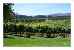 Hood River, Oregon - Beautiful Home and Vineyard With Mt. Hood Views For Sale - Wine Real Estate