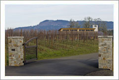 VineSmart.com - Newberg, Oregon -  Green Built Winery, Vineyard, and Tasting Room  Property For Sale - Wine Real Estate